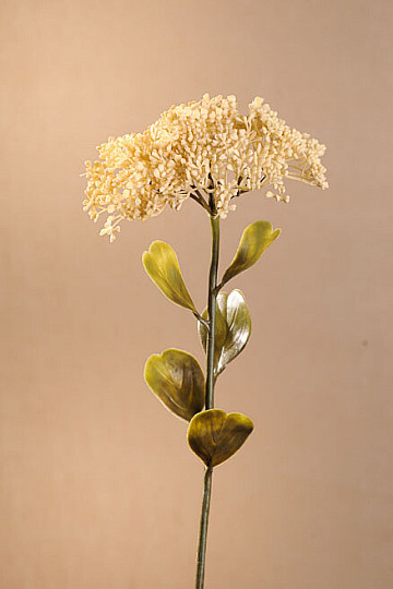 SUHI CVATNI SEDUM 46 cm bijeli