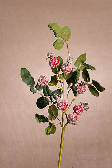 STRIJELICE PREKRIVENE SNIJEGOM