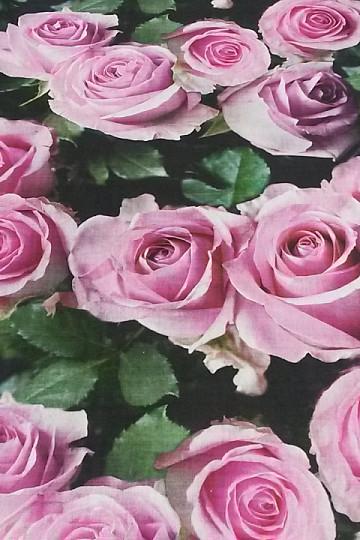 Dekorativna tkanina Rose digitalni print 3D