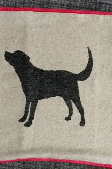 navlaka DF za pse LABRADOR bež
