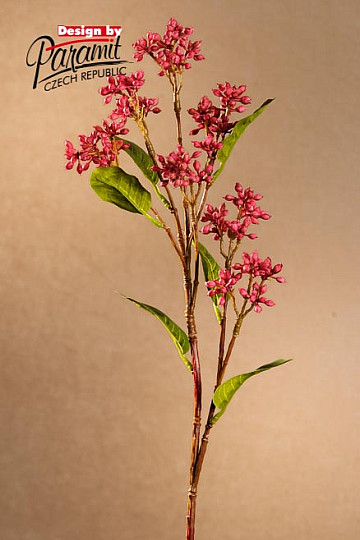 Japanska vinska bobica 63 cm