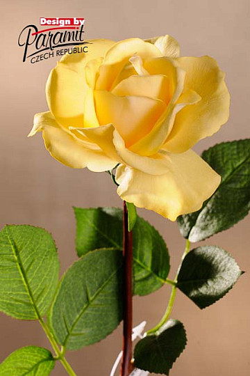 Žuta ruža 67 cm