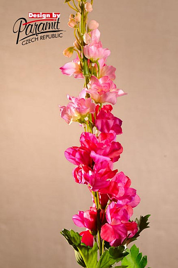 Delphinium bordo 79 cm