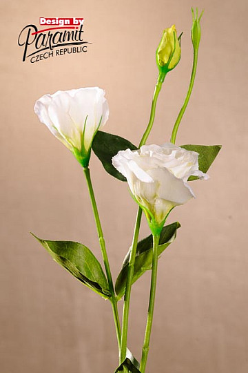 Lisianthus bijeli 67 cm