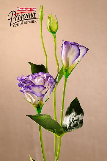 Lisianthus bijelo plavi 67 cm