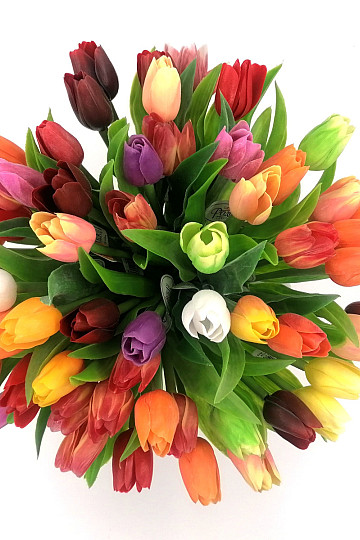 Tulipani mješavina boja