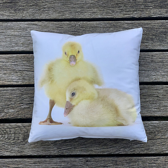 Ukrasna jastučnica GOOSE