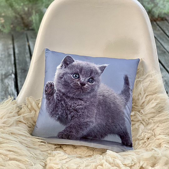 Dekorativni pokrov KITTY