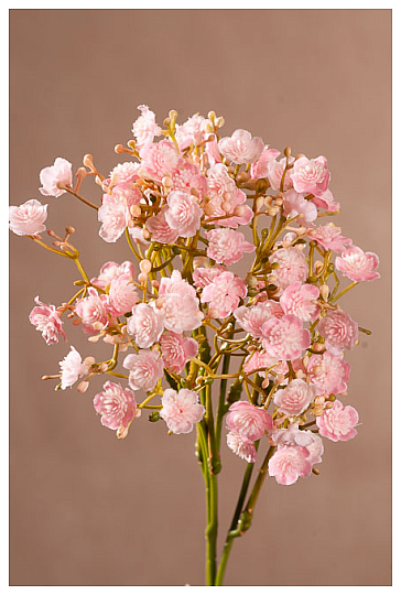 GIPSANI SPREJ RUŽIČASTI