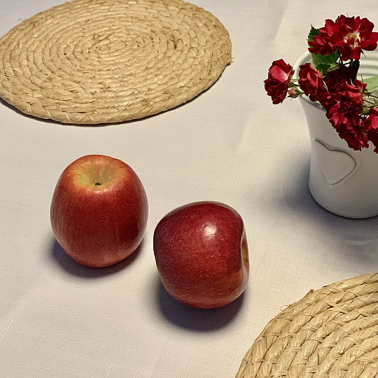 TEFLONSKI stolnjak ELBA bijeli