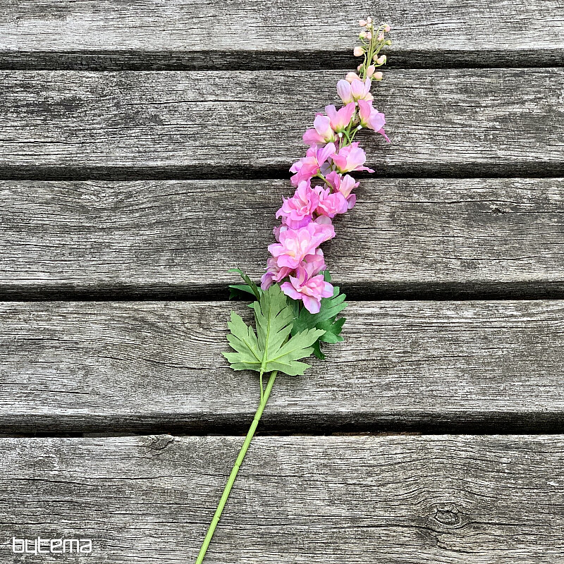 Delphinium ružičasti 79 cm