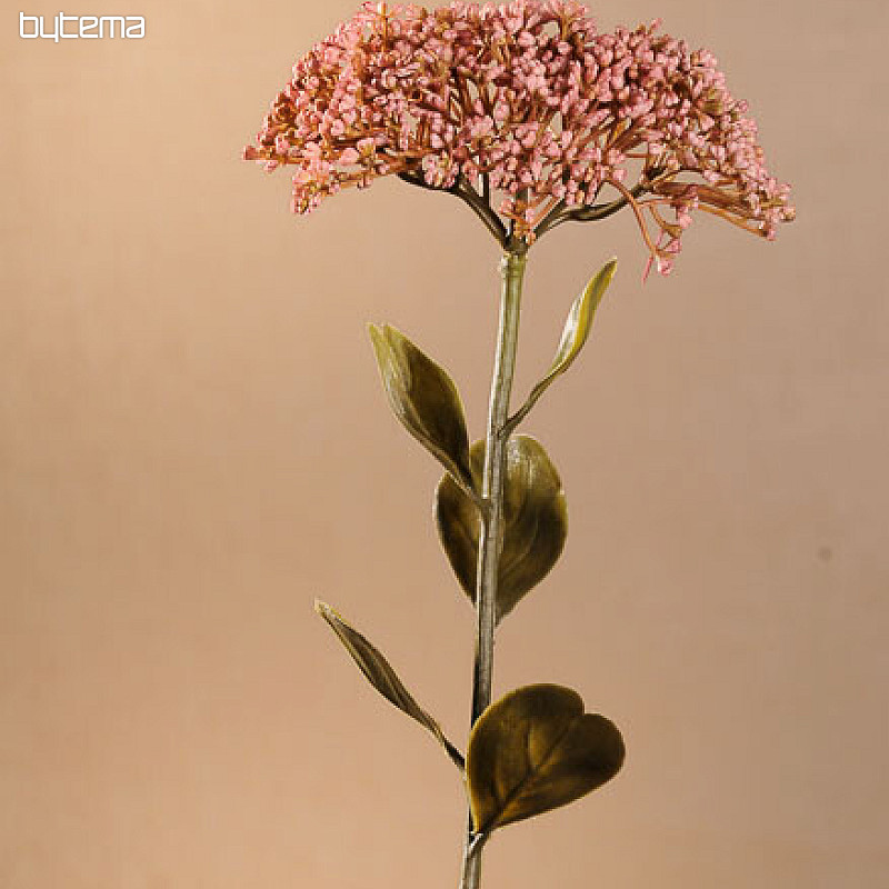 SUHI CVATNI SEDUM 46 cm star ružičast