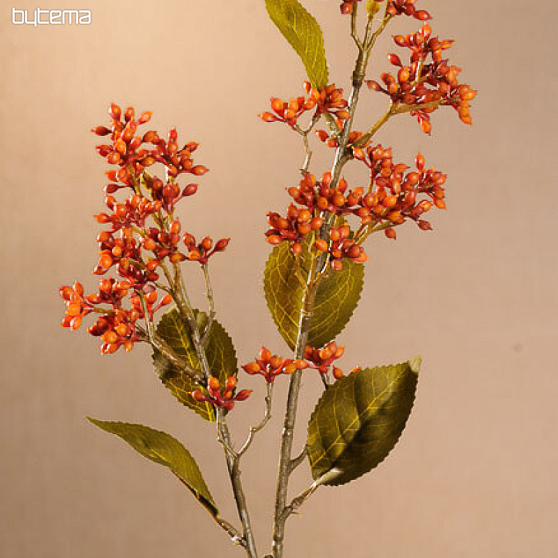 SUHA VIBURNUM TINUS 58 cm narančasta