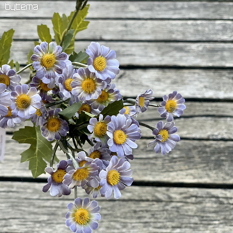 MINI DAISY PLAVA