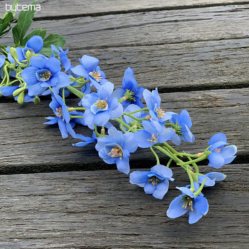DELPHINIUM PLAVI