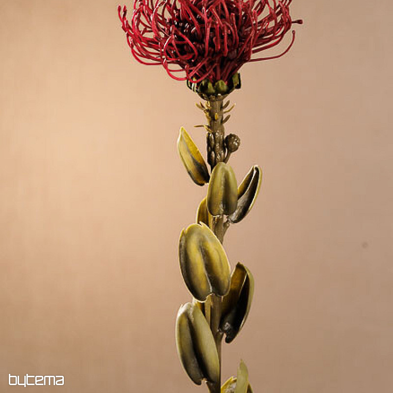 SUHA MALA PROTEA CRVENA