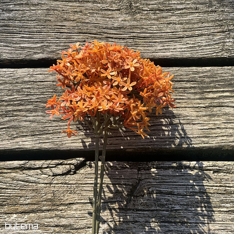 SUHI CVIJET NARANČE OD KRUNE