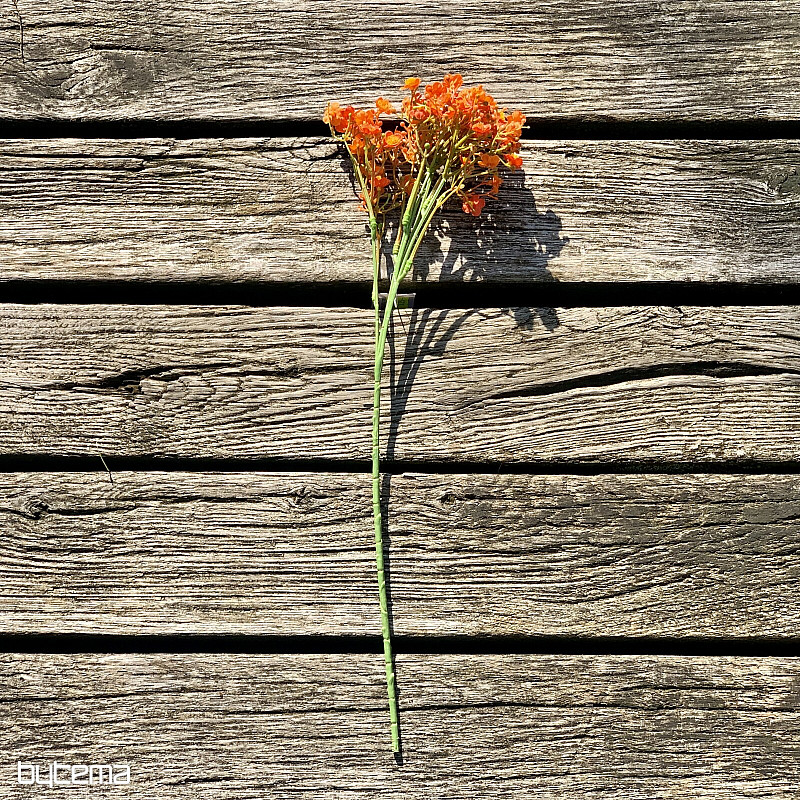 GIPSANI SPREJ NARANČASTE BOJE