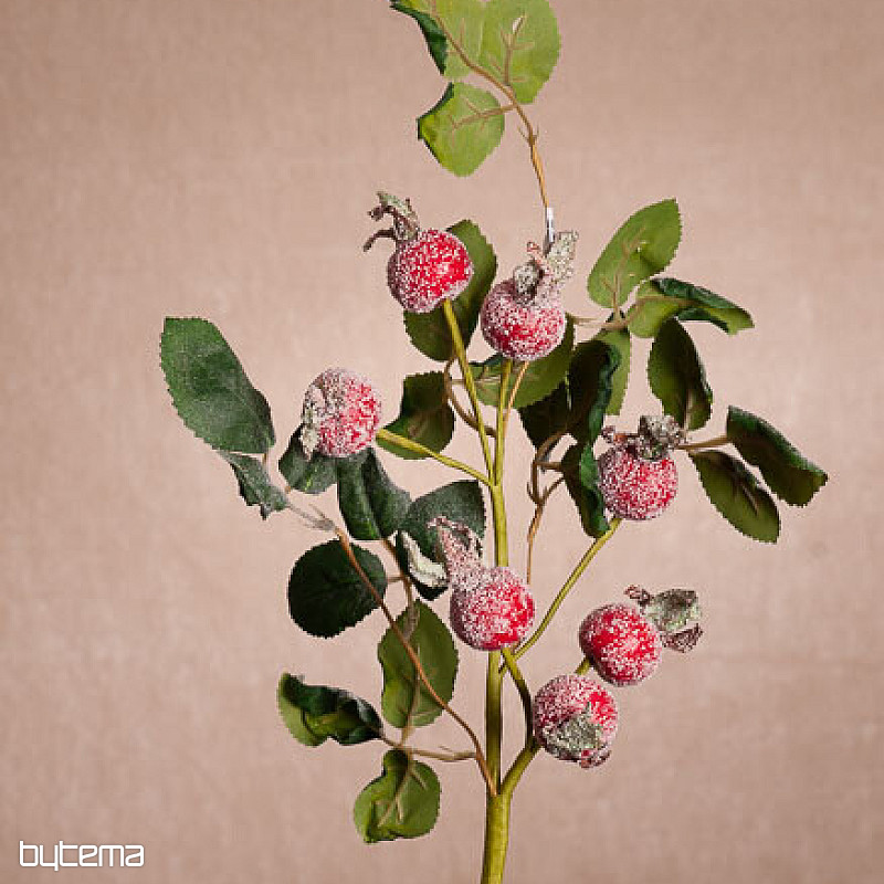 STRIJELICE PREKRIVENE SNIJEGOM