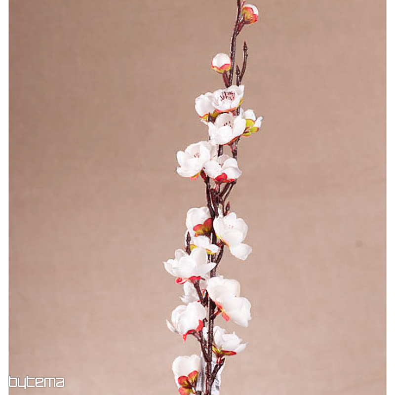 PROLJEĆE BIJELE TREŠNJE