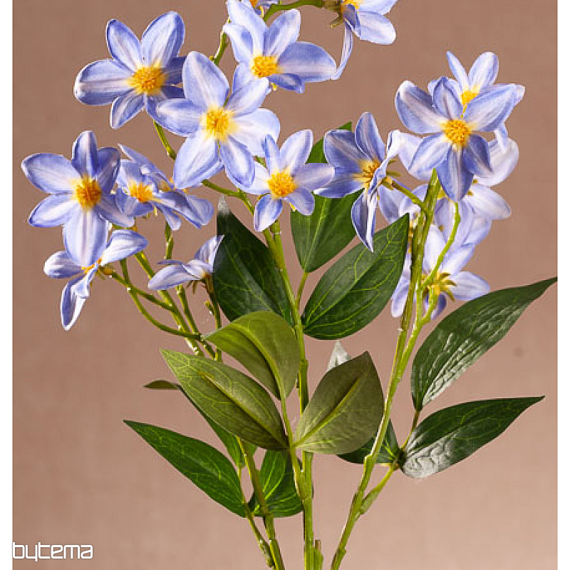 Plavi klematis