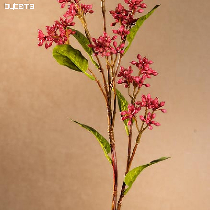 Japanska vinska bobica 63 cm