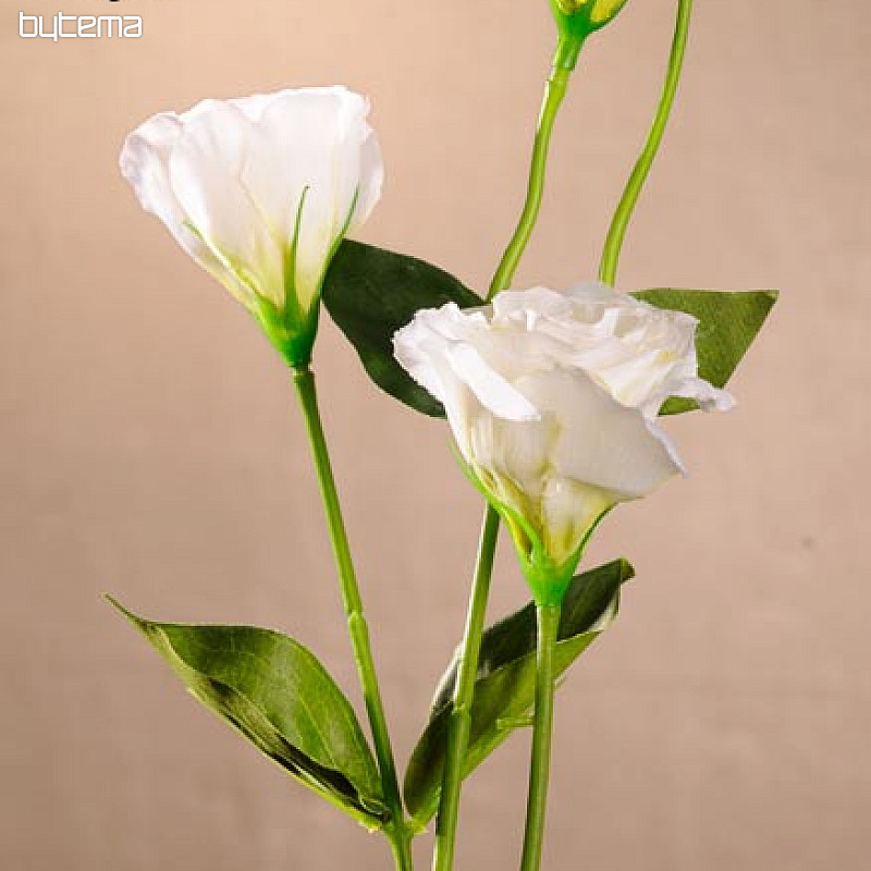 Lisianthus bijeli 67 cm