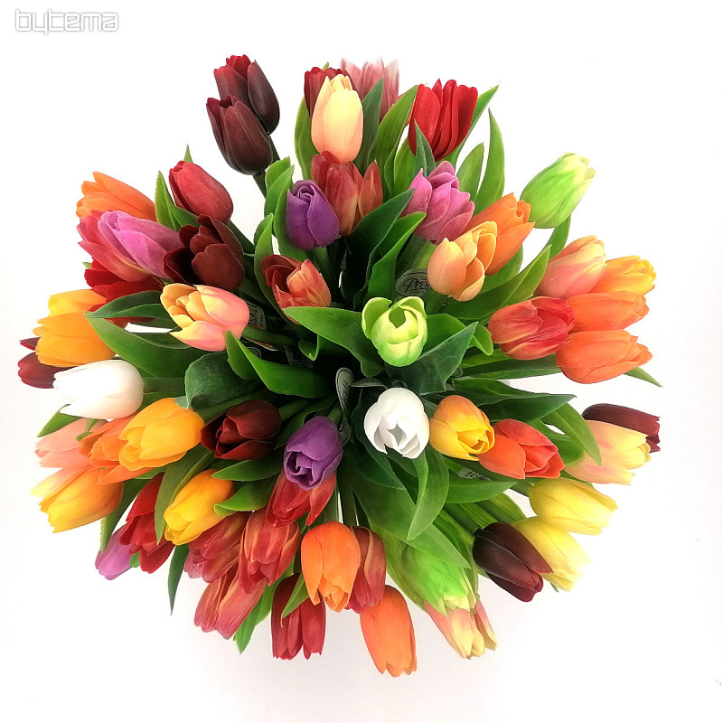 Tulipani mješavina boja