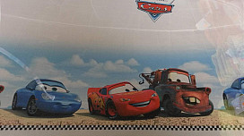 CARS zavjesa