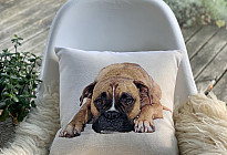 Za ljubitelje životinja - mekoća koja će vas ukrotiti