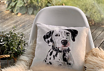 Za ljubitelje životinja - mekoća koja će vas ukrotiti