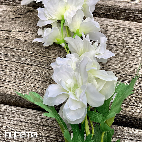 Delphinium bijeli 79 cm