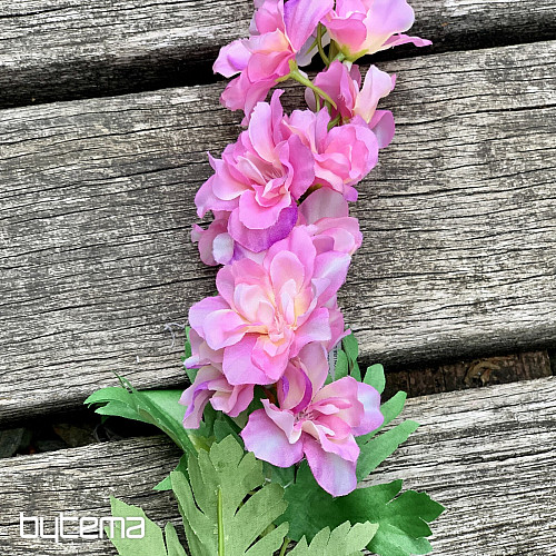 Delphinium ružičasti 79 cm