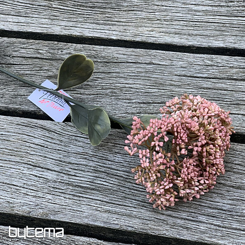 SUHI CVATNI SEDUM 46 cm star ružičast