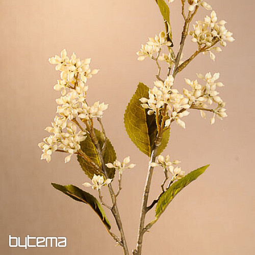 SUHI VIBURNUM TINUS 58 cm bijeli
