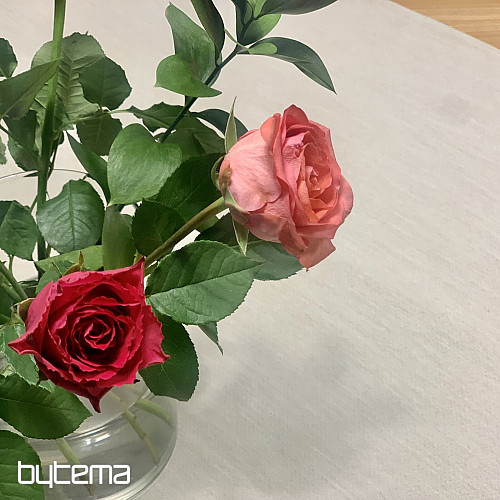 Tapiserijski stolnjak i šal NATUR