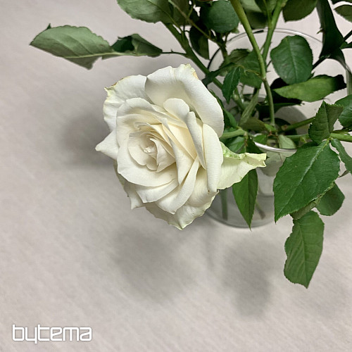 Tapiserijski stolnjak i šal NATUR