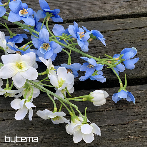 DELPHINIUM PLAVI