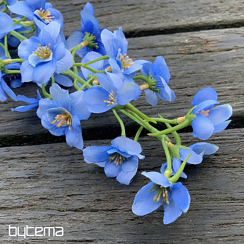 DELPHINIUM PLAVI