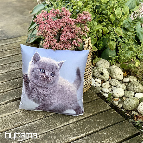 Dekorativni pokrov KITTY