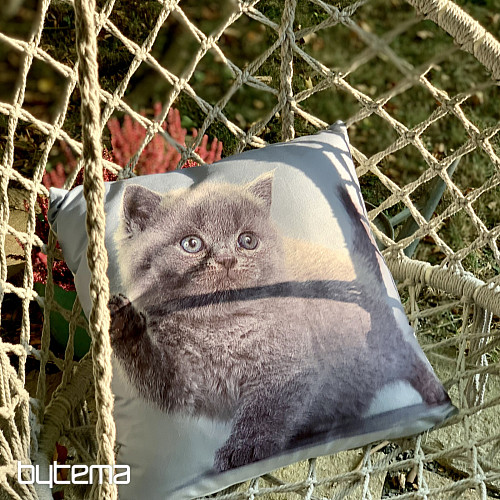 Dekorativni pokrov KITTY
