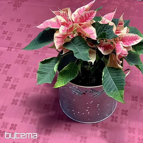 Stolnjak DAMASK cvijeće bordo 120x140