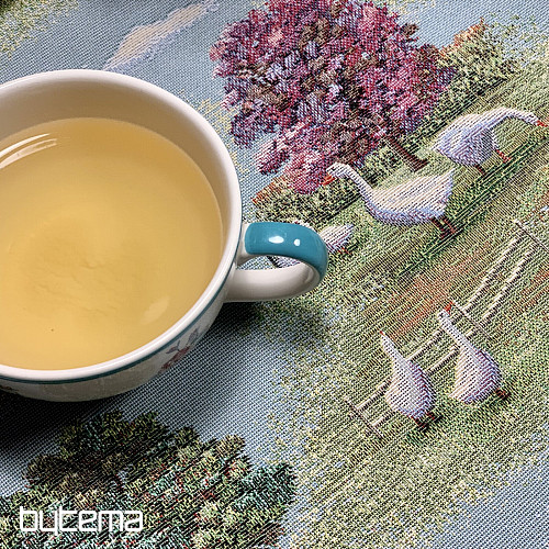 Tapiserijski stolnjak i šal VENKOV