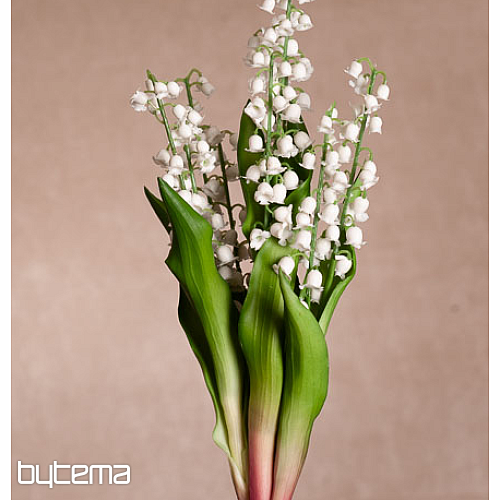 LJILJAN DUGOG ŽIVOTA