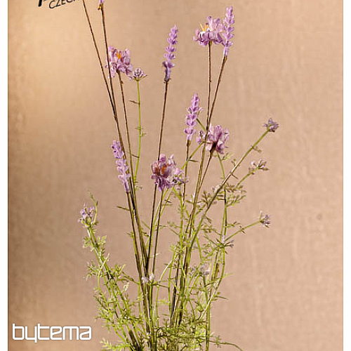 LJUBIČASTI LIVADNJI CVJETOVI