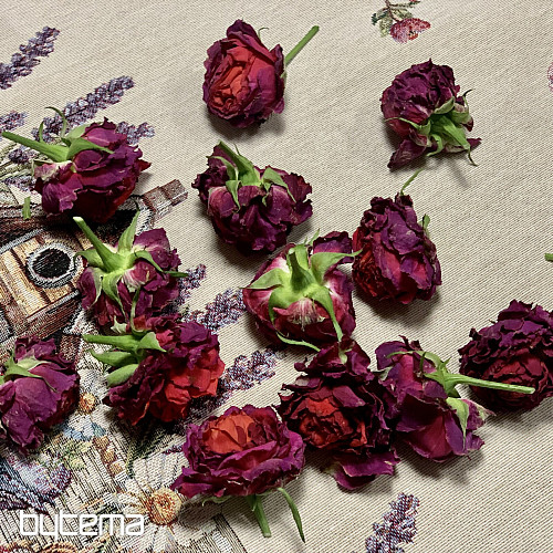 Tapiserijski stolnjak i šal KUĆICA ZA PTICE