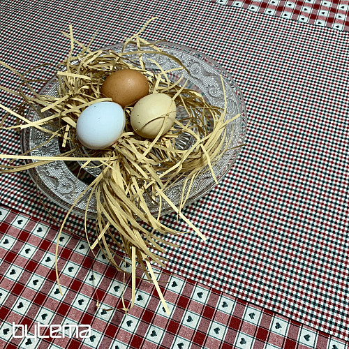 Stolnjak i šal MAXI CORET crveni