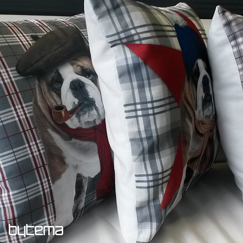 Ukrasna jastučnica HARRY THE BULLDOG 2