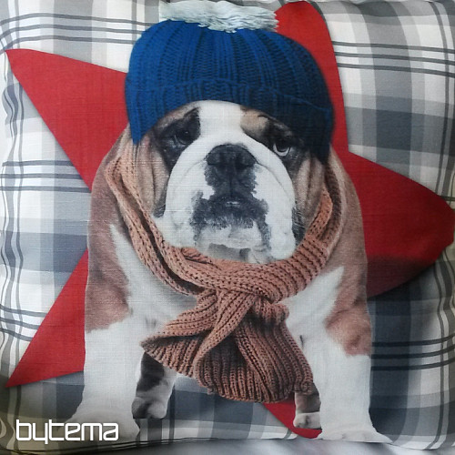Ukrasna jastučnica HARRY THE BULLDOG 2