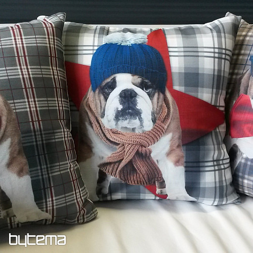 Ukrasna jastučnica HARRY THE BULLDOG 2